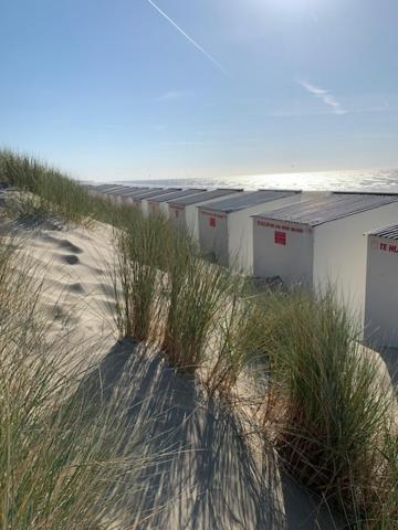 Studio Zeezicht Nieuwpoort Zewnętrze zdjęcie